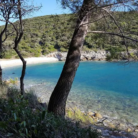 Arancia Villa