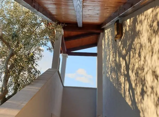Arancia * Peruški